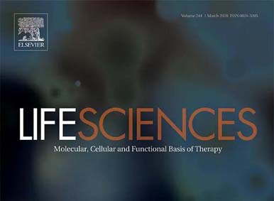 简讯丨银丰生物马贺然博士团队在SCI期刊《Life Sciences》上发表关于神经干细胞外泌体的科研成果