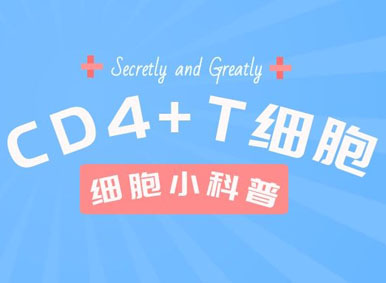 隐秘而伟大：CD 4+T细胞