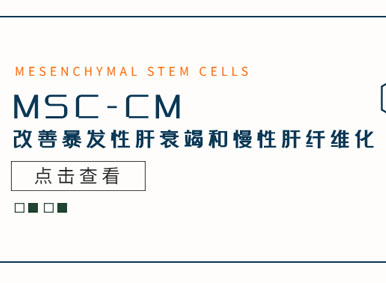 科普日谈丨 MSC-CM改善暴发性肝衰竭和慢性肝纤维化