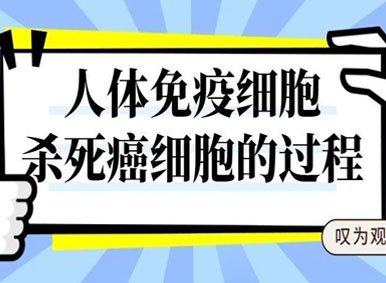动图丨人体免疫细胞杀死癌细胞的过程真是太帅了! 叹为观止！