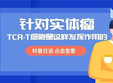 科普日谈丨针对实体瘤，TCR-T细胞是这样发挥作用的