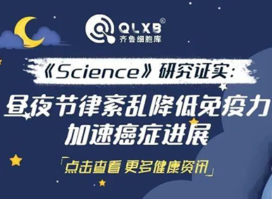 一夜不睡会怎样？《Science》子刊研究证实：昼夜节律紊乱降低免疫力，加速癌症进展