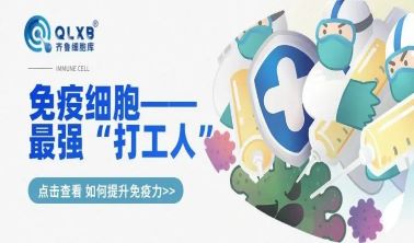 同为“打工人”，免疫细胞也会精疲力尽，别等身体出现问题才想办法拯救它们！