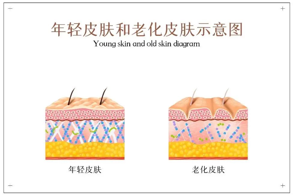 抗衰老护肤品