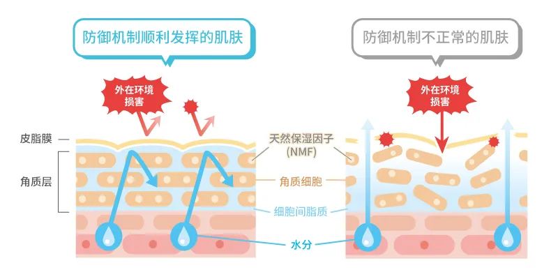 纯天然护肤品