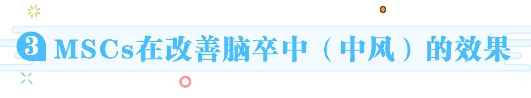 自体细胞存储