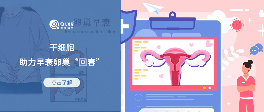 ​女性全身衰老的加速器 ！干细胞或可助力早衰卵巢“回春”