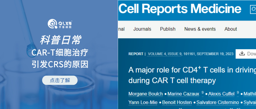 科普日常 | CAR-T细胞治疗引发CRS的原因——CD4+CAR-T是关键