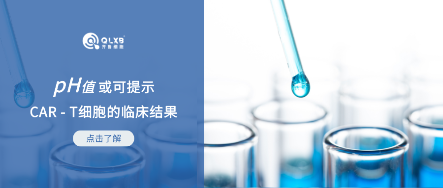 科普日常 | 近期备受关注的CAR-T细胞，PH值或可提示它的临床结果
