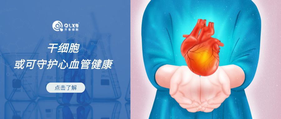 案例分享 | 研究发现猝死规律，占比最高是它！干细胞或可预防疾病发生