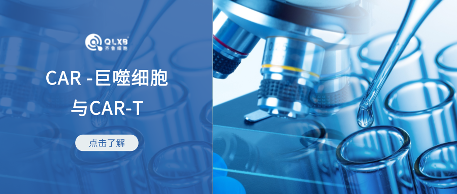 科普日常 | CAR -巨噬细胞与CAR-T对抗实体瘤:新星与巨星之间的竞赛