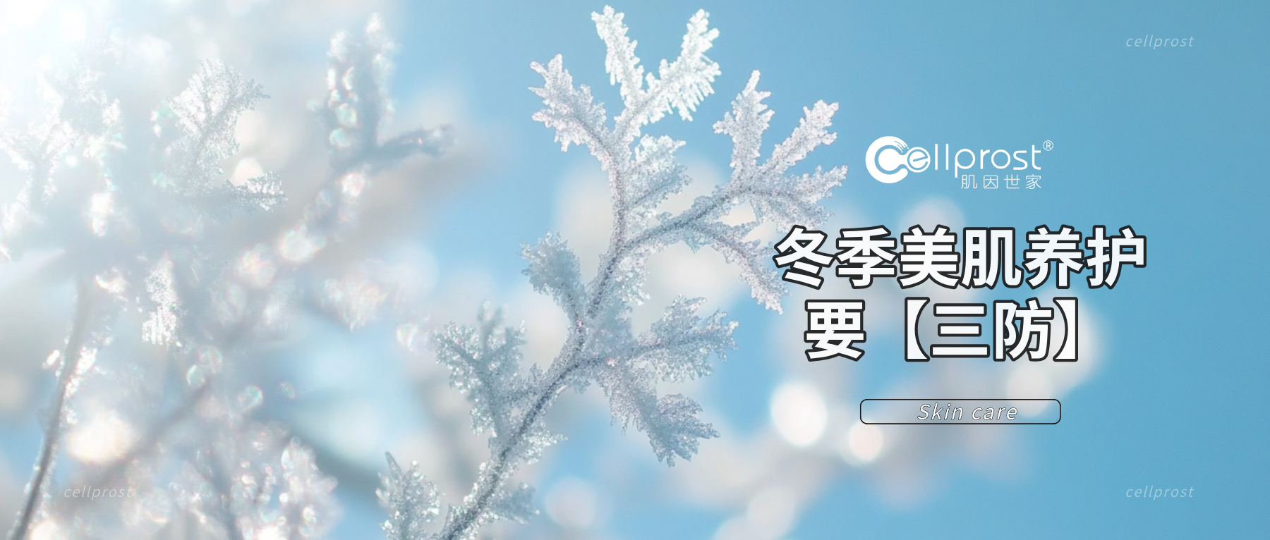 肌因世家 | 拥抱冬季美肌，做好肌肤「三防」