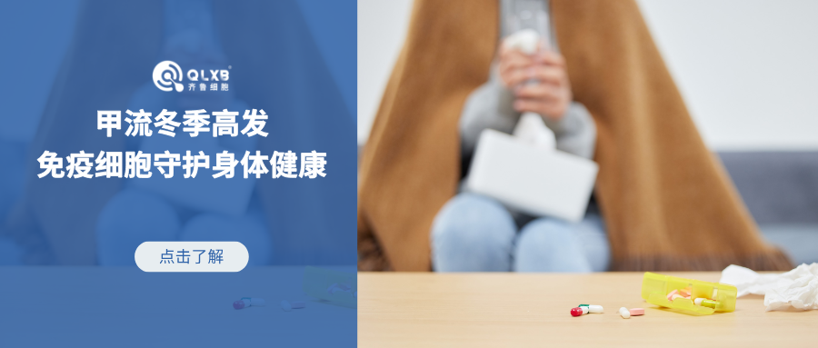冬季甲流高发，免疫细胞保护机体应对甲流病毒的感染