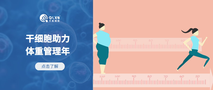 科普日常 | 干细胞：身材管理年的新希望