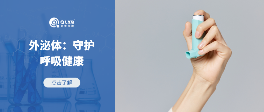 外泌体有望成为平息哮喘的有力手段，守护呼吸健康