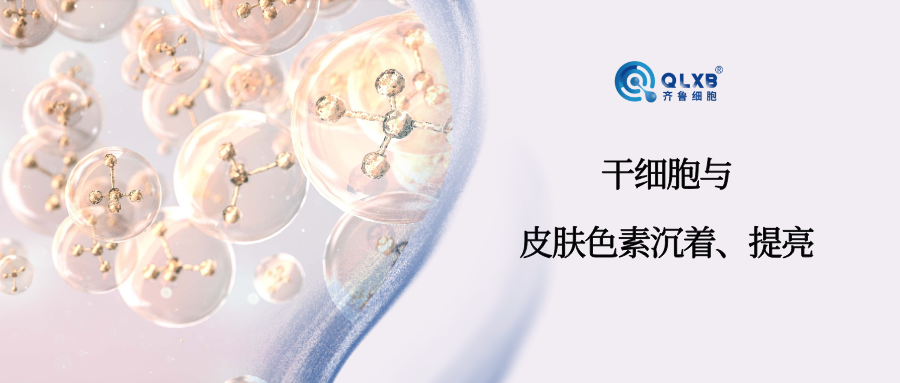 科普日常 | 干细胞及其外泌体在肌肤色素沉着、提亮方向潜力十足