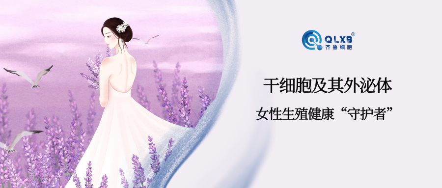 案例分享 | 干细胞与外泌体或可成为女性生殖健康的守护者