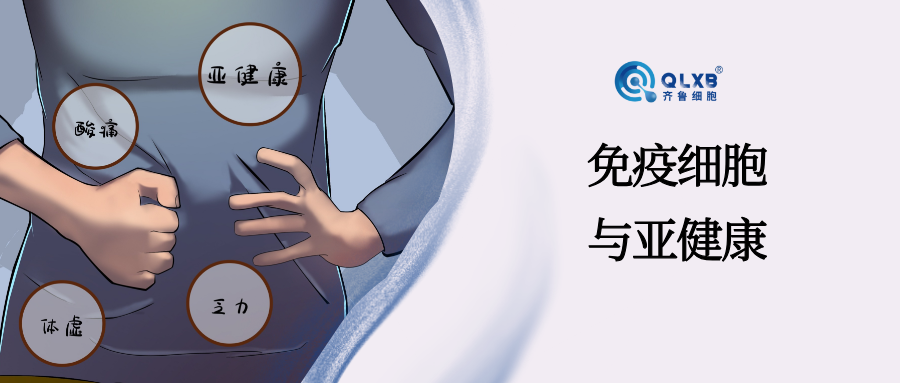 科普日常 | 免疫力告急、亚健康，NK 细胞 “免疫特种兵” 前来救场！