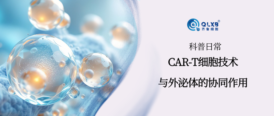 科普日常 | 前沿探索：CAR-T 细胞技术与外泌体的协同作用新征程