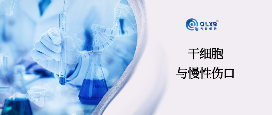 科普日常 | 慢性伤口不愈合？MSC带来新希望！