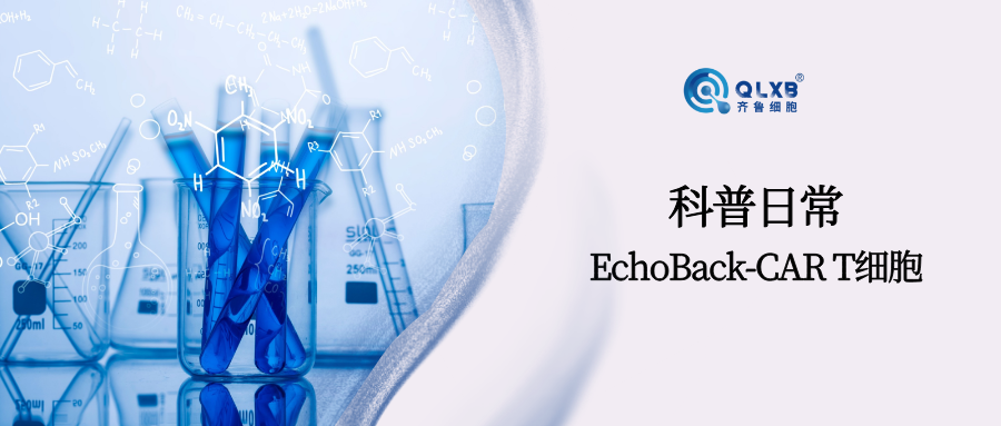 科普日常 | 突破性进展，EchoBack-CAR T细胞：精准打击实体瘤，副作用大幅降低
