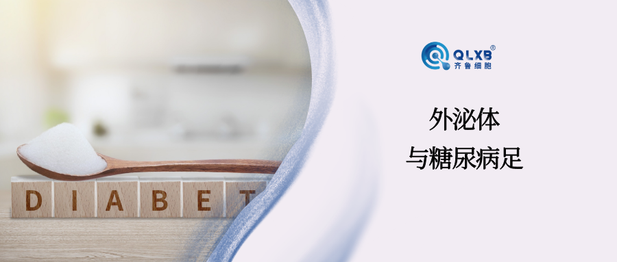 外泌体有望成为促进糖尿病伤口愈合的新策略