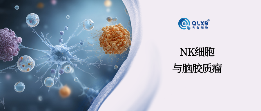 新研究：NK细胞打开应对脑胶质瘤的新视角