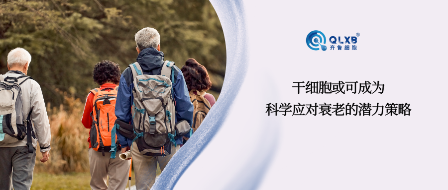 干细胞或可成为科学应对、延缓衰老的潜力策略