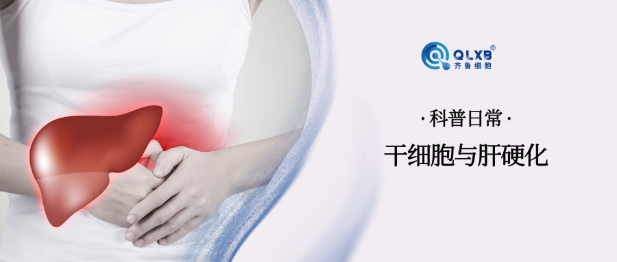 科普日常 | 当肝硬化遇上干细胞，点亮健康希望