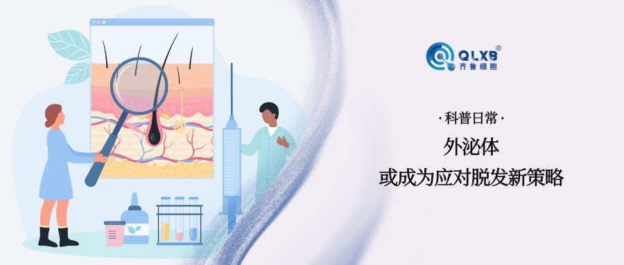 科普日常 | 干细胞外泌体干预“秃”然袭击