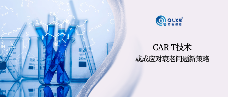 “青春保卫战”新策略：CAR-T技术或成应对衰老新利器