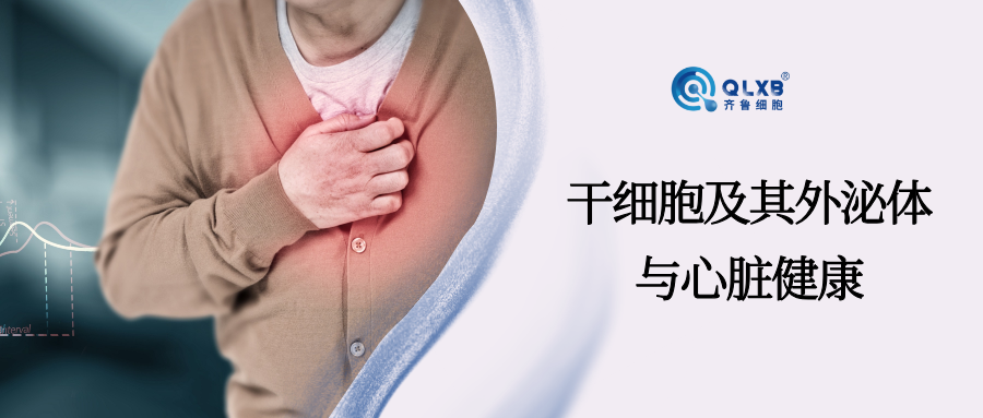案例分享 | 干细胞技术助力“重启”心脏活力？或为应对心血管疾病带来新策略