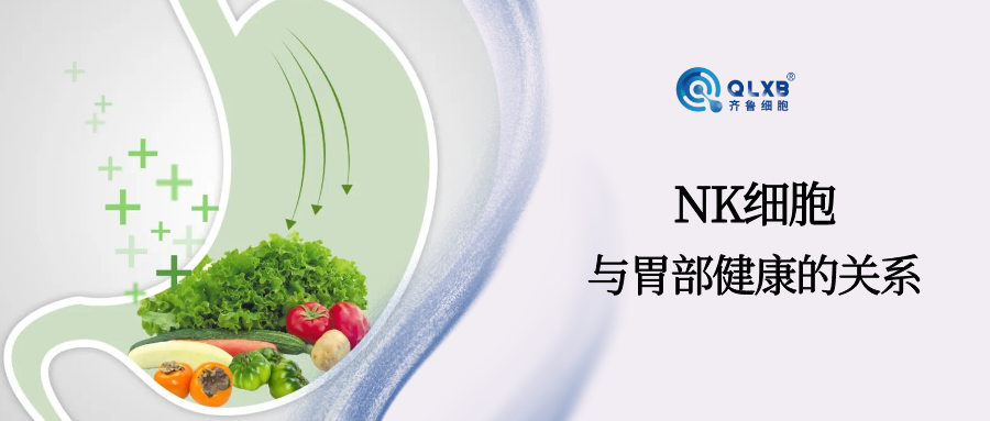 NK细胞活性降低，胃癌风险或随之升高，守护健康防线，守护胃部健康