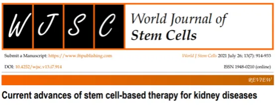 沉默的流行病：中国1.52亿，全球7.88亿，干细胞或可为肾脏危机带来新曙光