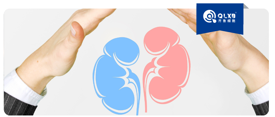 科普日常 | 久坐与肥胖，正悄然压垮你的肾：一项全球研究的警示