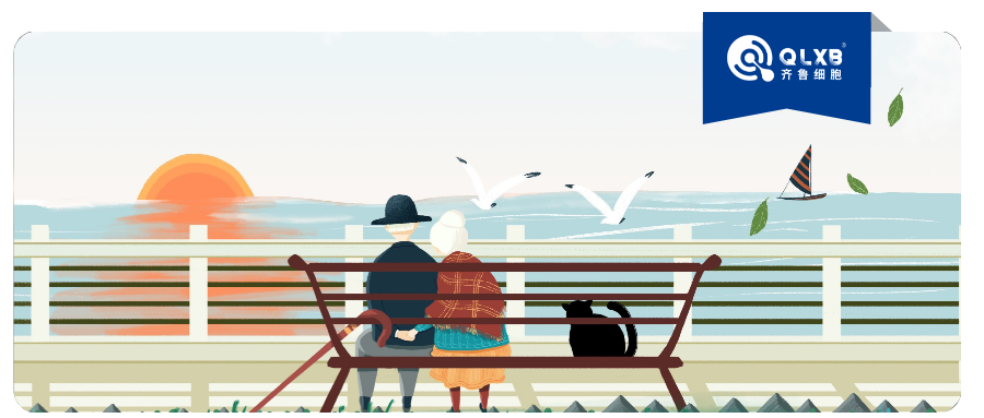 从“倦怠”到活力：干细胞为应对衰老提供新视角