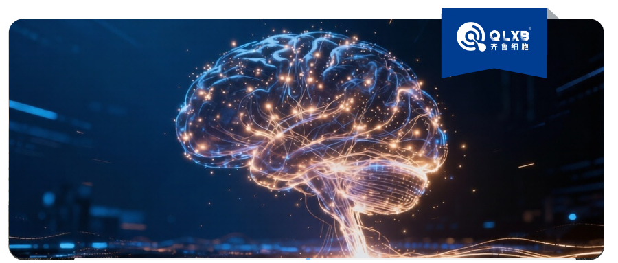 科普日常 | 干细胞：或可成为解锁难治性癫痫治疗的新密码