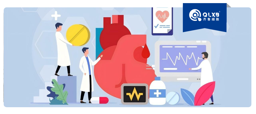 从心源性猝死说起：你的免疫系统正在为不良生活方式“买单”