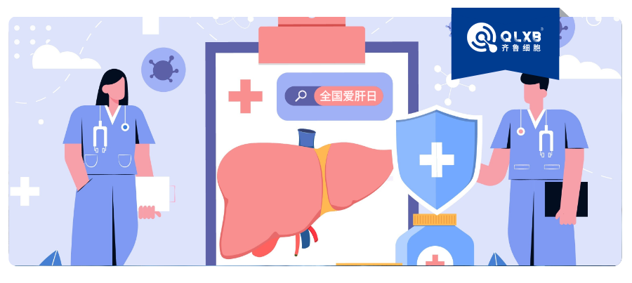 全国爱肝日 | 干细胞技术为“硬化”的肝脏带来新希望