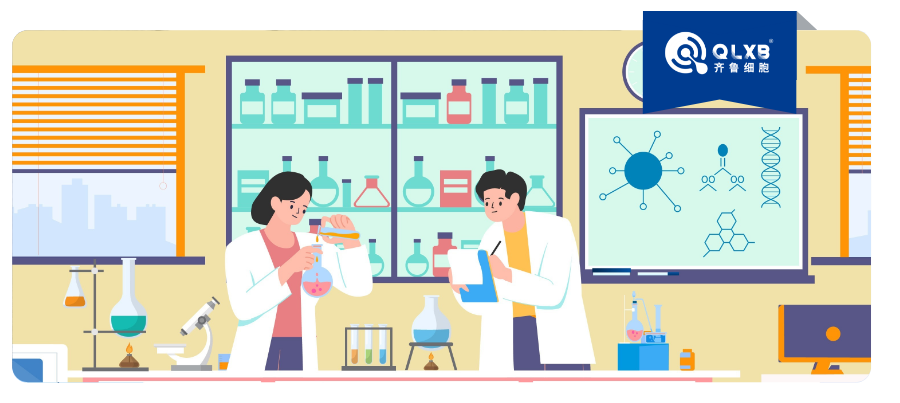 免疫存储 | 《Frontiers in Immunology》刊文，NK细胞，助力“健康老去”的天然卫士