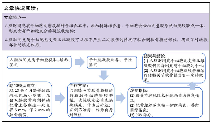 细胞储存