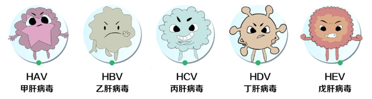 成人脂肪干细胞存储