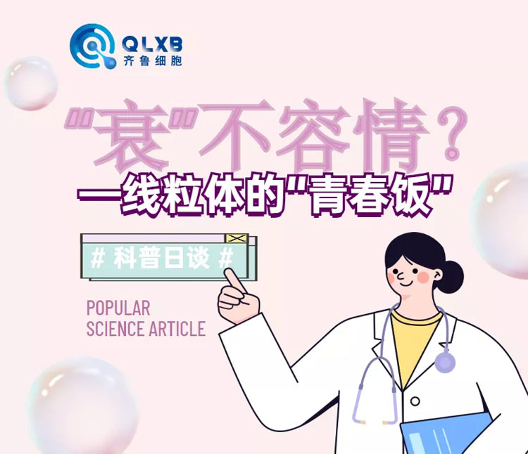  干细胞存储