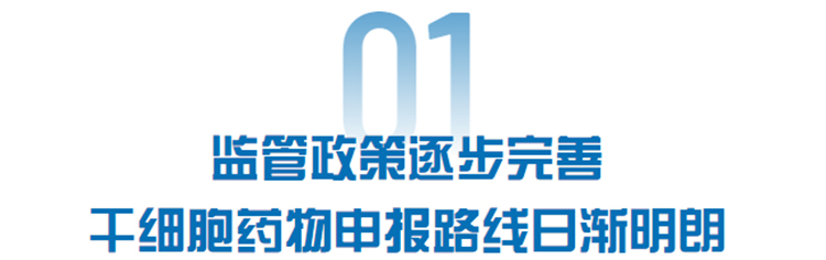 自体脂肪干细胞储存