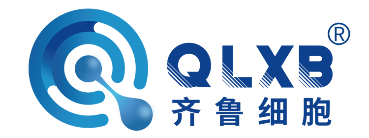 齐鲁细胞