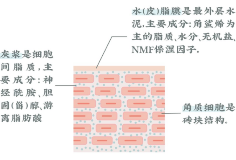 存免疫细胞